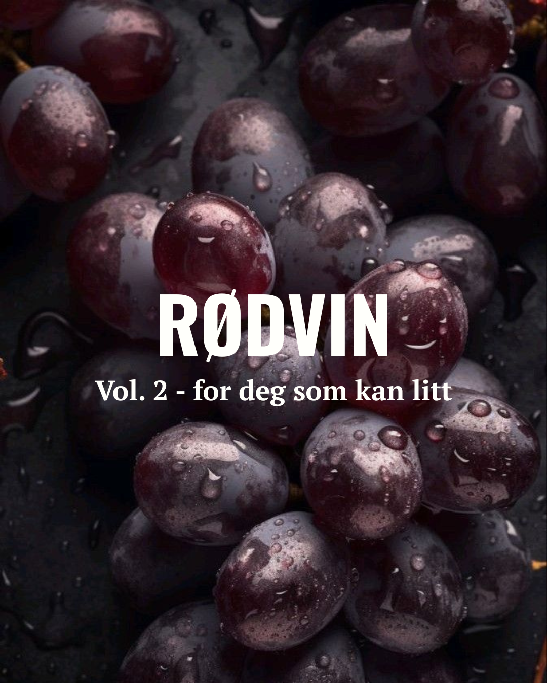 Rødvin - vol.2 for deg som kan litt