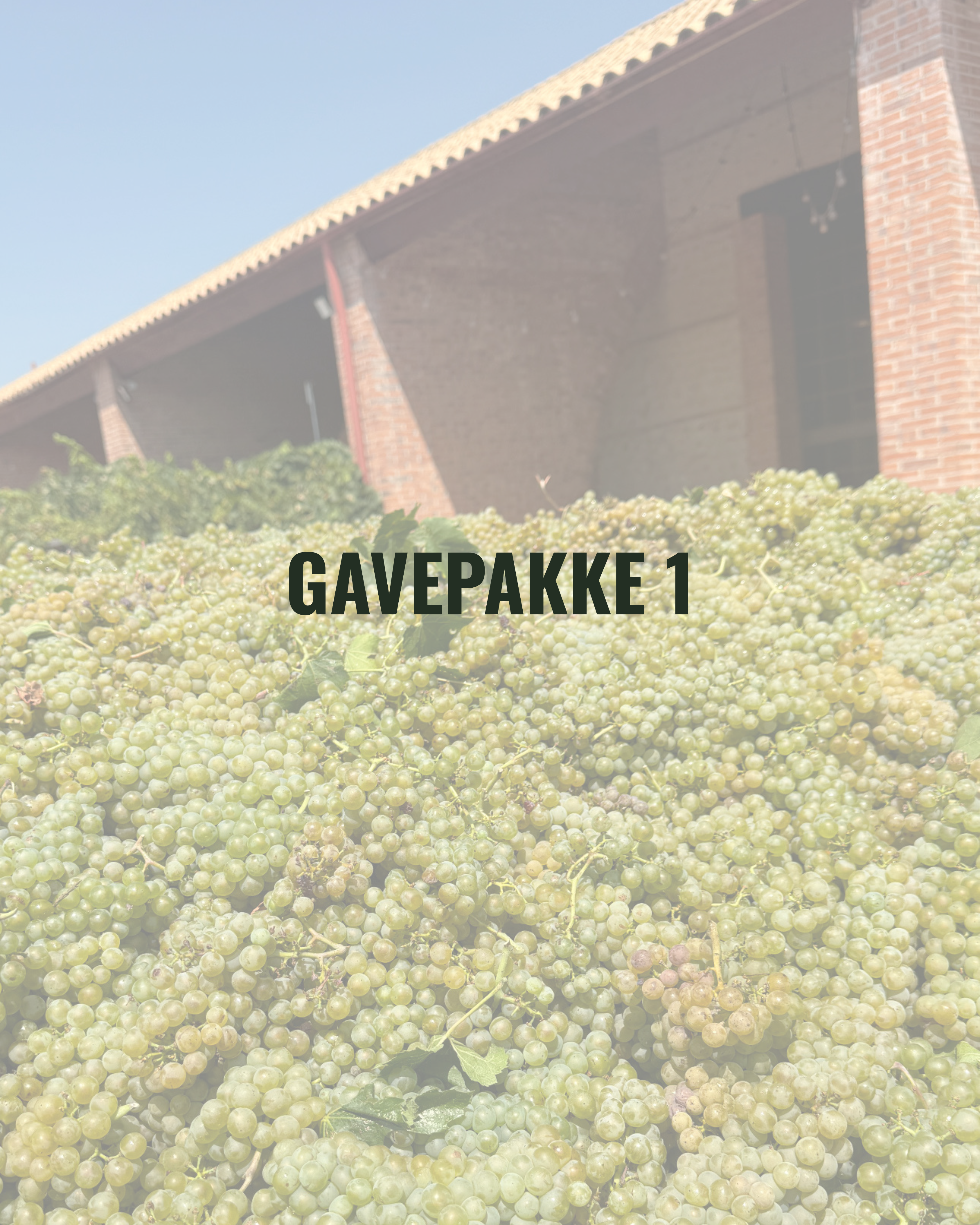 GAVEPAKKE 1 - vinsmaking & druekitet
