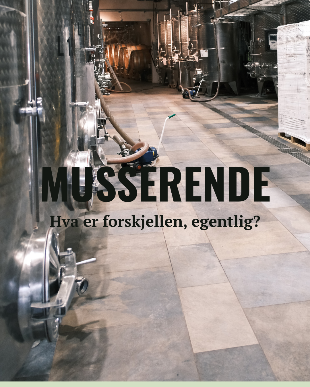 Musserende vin - hva er forskjellen, egentlig?